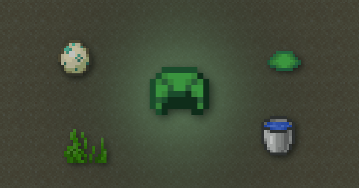 A turtle shell surrounded by turtle eggs, a turtle scute, seagrass and a water bucket on sand